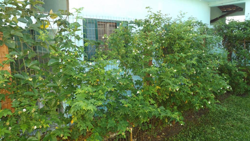 Pousada Rural Ouro Verde Eldorado Exterior photo